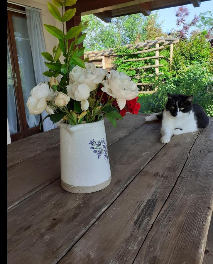 Вилла Gatti Di Langa Дольяни Экстерьер фото